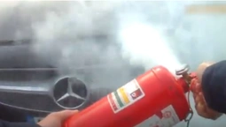 На трасі Устилуг-Луцьк-Рівне під час руху загорівся автомобіль (відео)