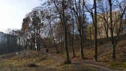 Забутий парк у центрі Луцька: яке його майбутнє?