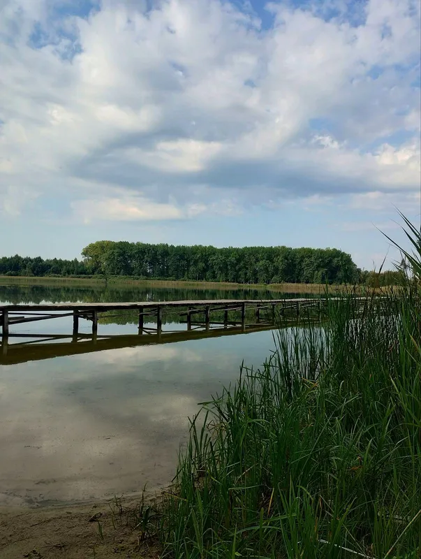 Зручні пірси і мало людей: на Волині в озері у формі вуха водиться багато риби (фото)