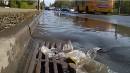 Посеред вулиці у Луцьку пробився "гейзер" (відео)