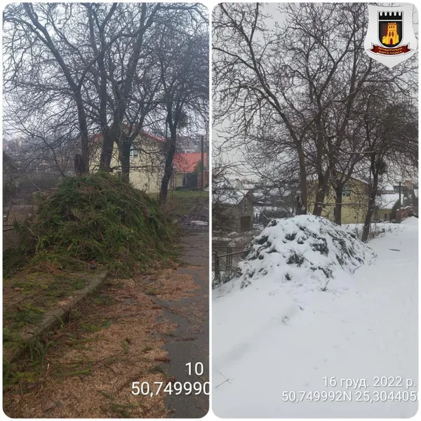 У Луцьку муніципали покарали неохайного «лісоруба» (фото)