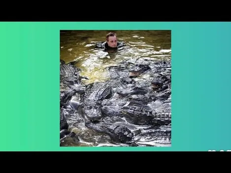 Чоловік годує алігаторів сосисками із зав'язаними очима (відео)