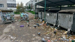 Розкатане сміття та мертві голуби: у Луцьку не прибирають смітники (фото)