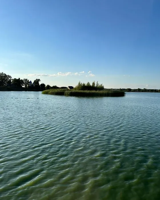 Прозора вода і багато риби: в селі на Ковельщині є озеро для відпочинку душею і тілом (фото)