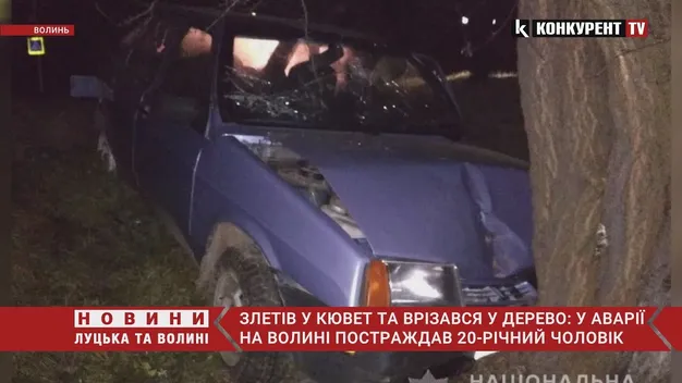 Біля Луцька автівка влетіла в дерево: повідомили про стан водія (відео)