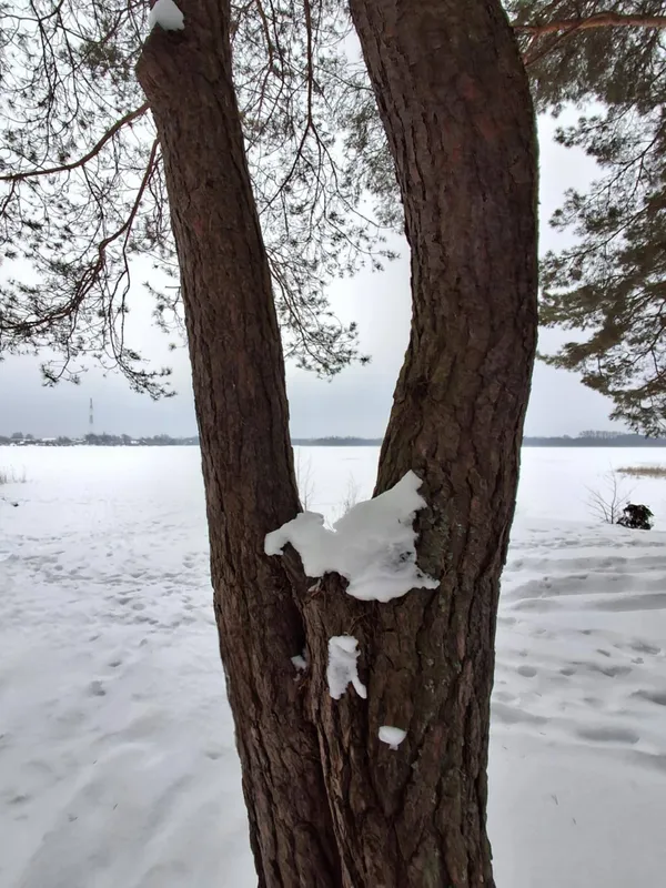 Яким стало популярне серед відпочивальників озеро біля Шацька (фото)