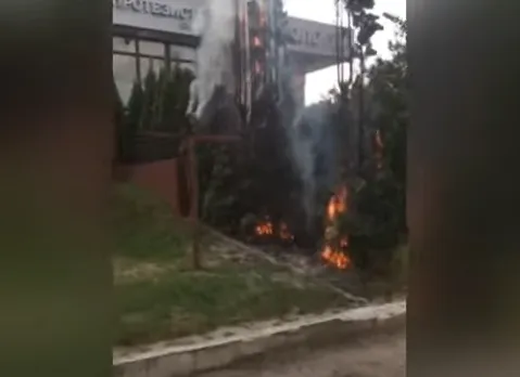 У Луцьку біля стоматклініки горіли туї (відео)