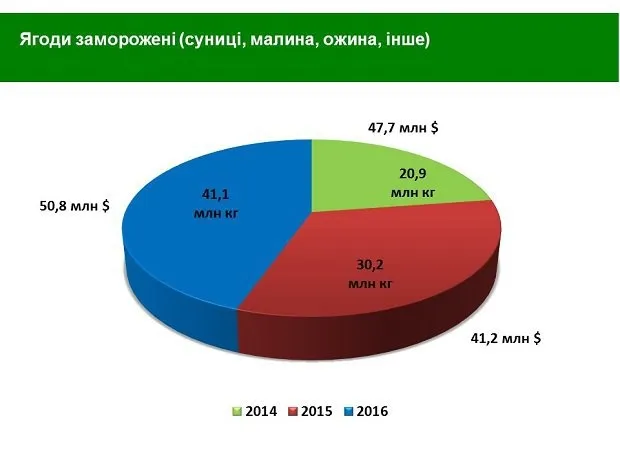 Ягідний бізнес: українські перспективи (інфографіка)