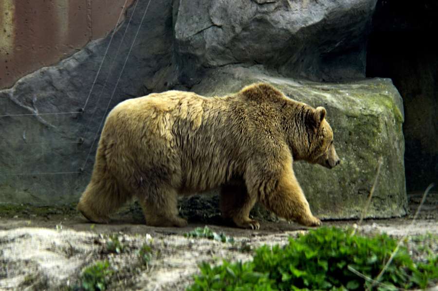 Показали яскраві знімки мешканців Луцького зоопарку