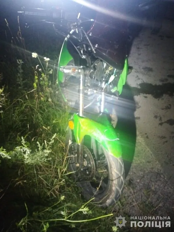 У Луцькому районі п'яний мотоцикліст збив тварину (фото)