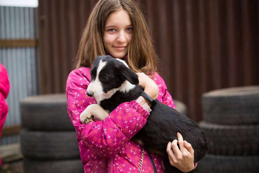 20 безпритульних собак чекатимуть у «Промені» на нову родину*