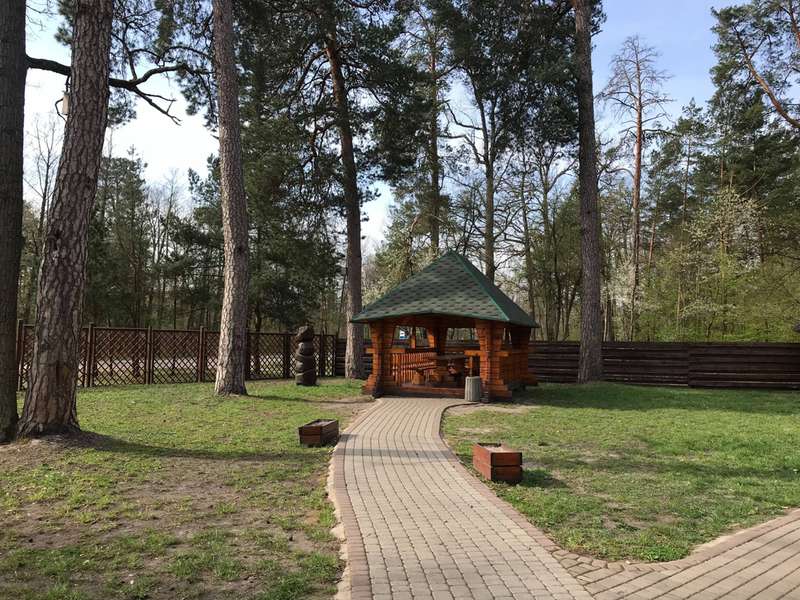 «Лісові» подарунки: як волинські села безкоштовно отримують «туристичні родзинки»