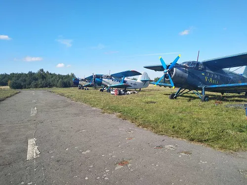 На Волині планують відстріляти близько 700 лисиць (фото)