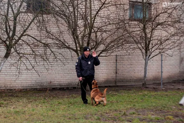 Відбираємо собак за характером, – полісмен-кінолог Волині про службу із чотирилапими напарниками (інтерв’ю)