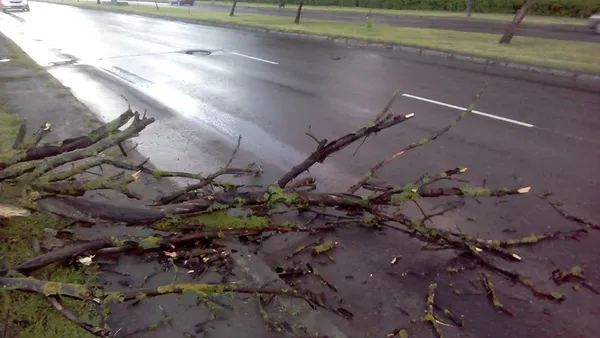 Що наробила негода в Луцьку  (фото, відео)
