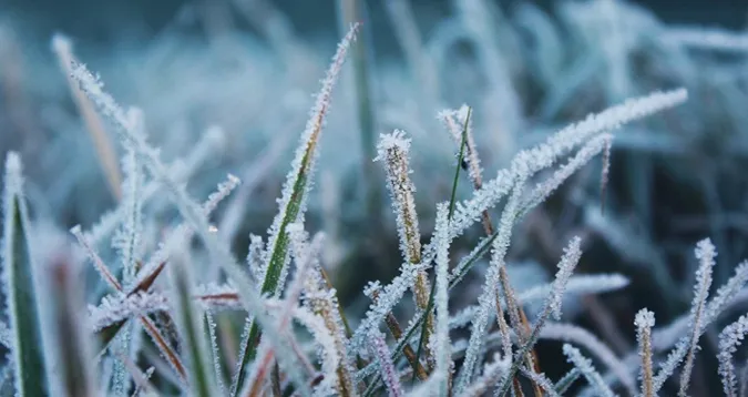 Заморозки на Волині до -5°: оголосили І рівень небезпечності (відео)