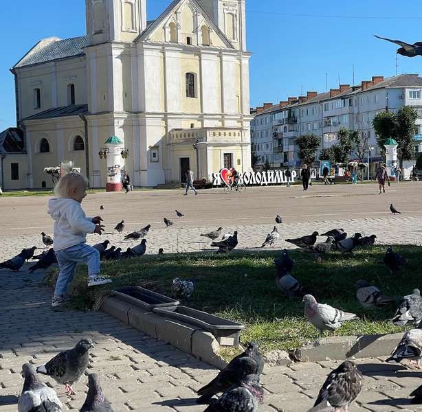 Володимирські голуби зможуть пити воду в самісінькому центрі міста (фото)