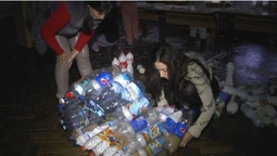 Для безпритульних тварин у Луцьку встановлюють будиночки із пластикових пляшок (відео)