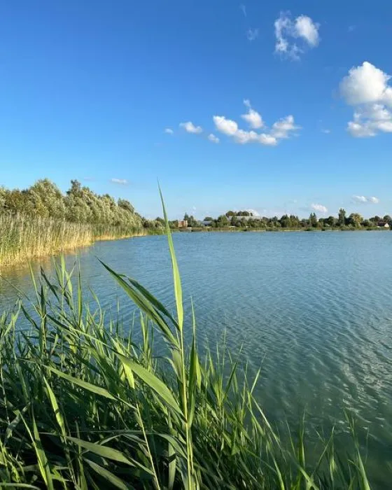 Прозора вода і багато риби: в селі на Ковельщині є озеро для відпочинку душею і тілом (фото)