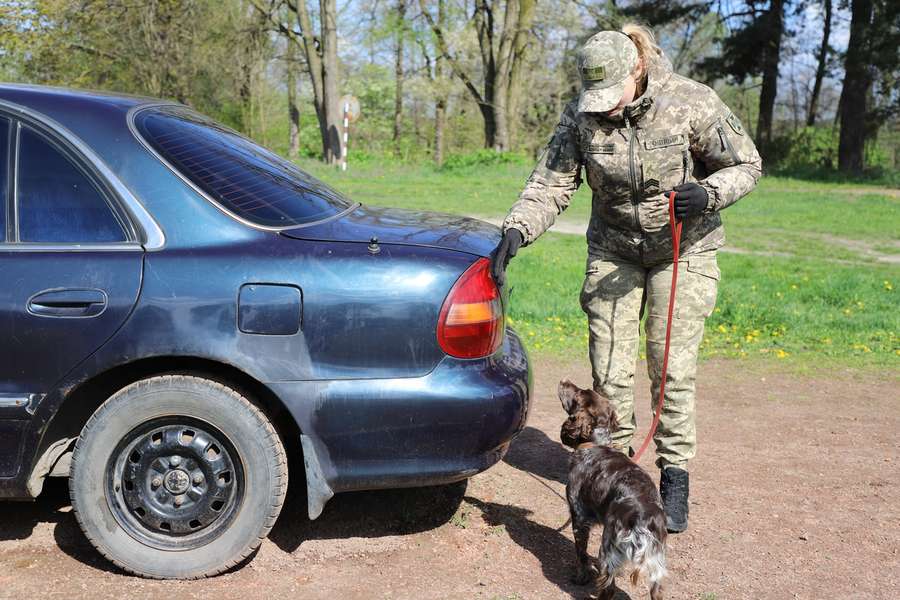 Волинська прикордонниця чекає з російського полону чоловіка та двох собак (фото)