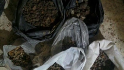 У Луцьку в підпільному цеху знайшли 50 кілограмів бурштину (фото)