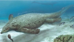 У Китаї виявили рештки броньованої морської рептилії