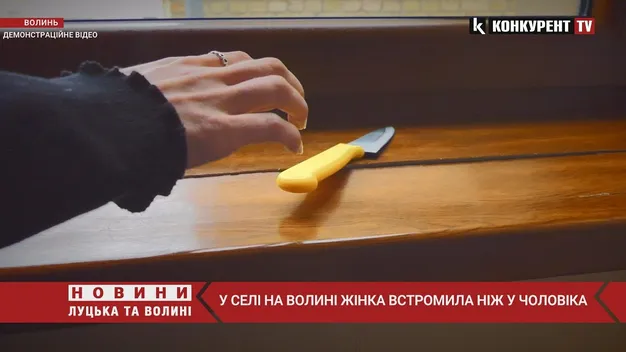 Волинянці, яка ледь не вбила співмешканця, загрожує 8 років тюрми (відео)