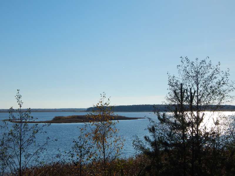 Осінні пейзажі озера на Волині (фото)