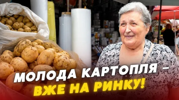 Молода картопля на луцьких ринках: які ціни і звідки везуть сезонний овоч (відео)