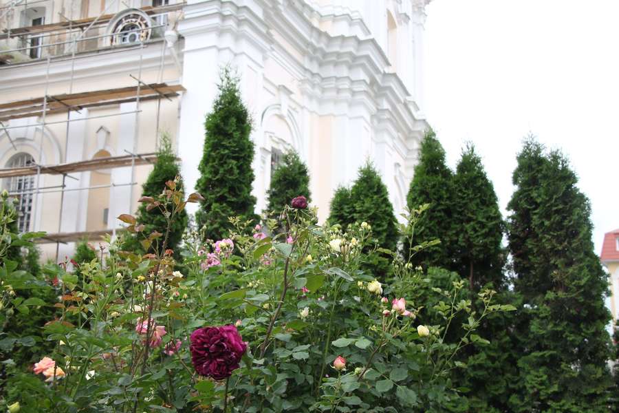 Казковий розарій розквітнув у луцькому соборі (фото)