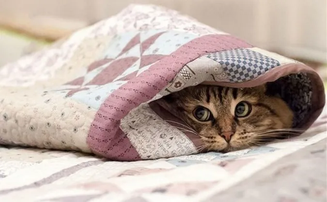 Температура буде нижче -20°C: назвали дати нового похолодання на Волині