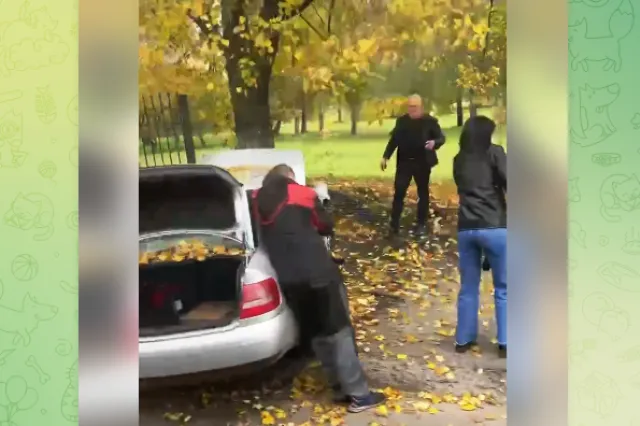 ДТП у Луцьку: авто збило велосипедиста на «зебрі» і відлетіло на тротуар (відео)