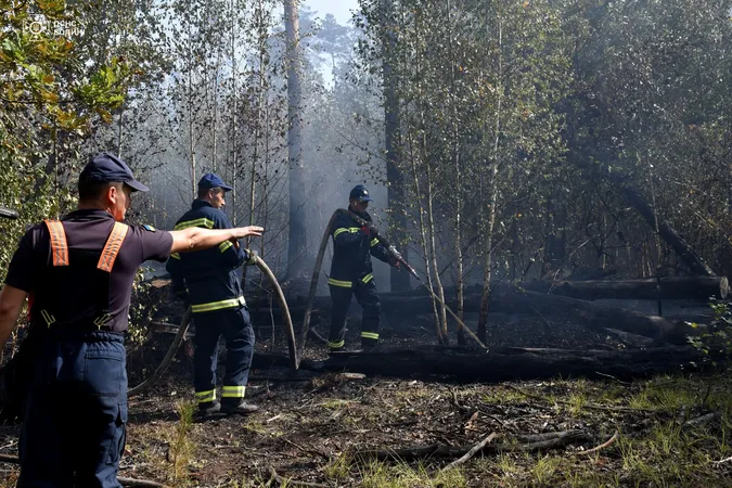 У Луцькому районі майже дві доби гасять масштабну лісову пожежу (фото)