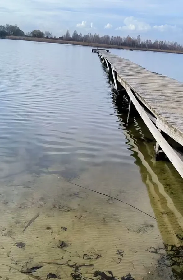 На Волині є загадкова водойма у формі людського вуха (відео)