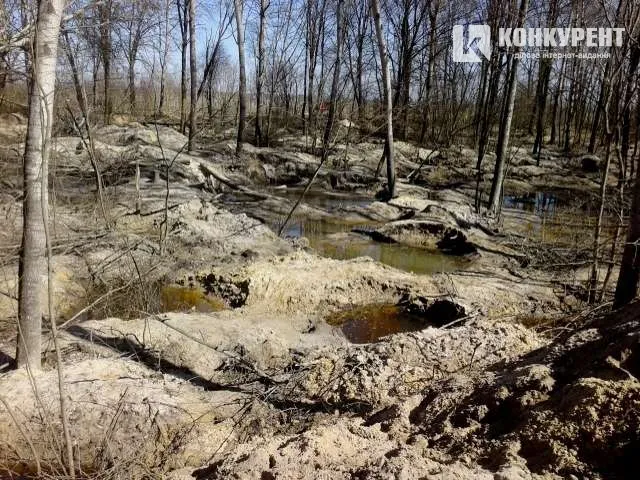 Перериті  гектари лісу