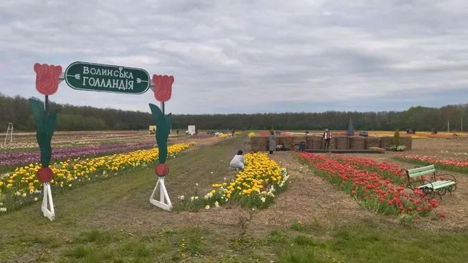 Дощить і холодно: Волинська Голландія тимчасово не приймає гостей
