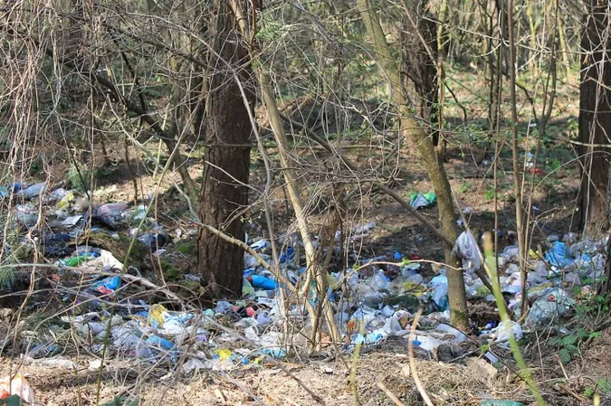 На Волині оштрафували чоловіків, які  викидали сміття у ліс