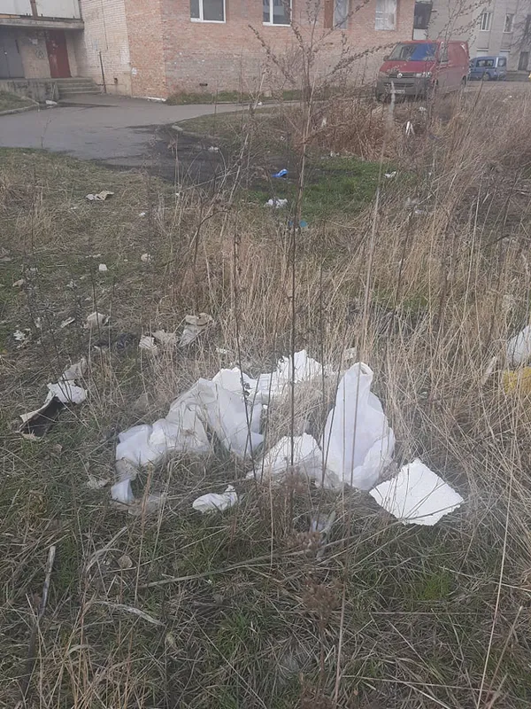Не моє сміття, але моя планета: луцька школярка започаткувала корисний челендж (фото)