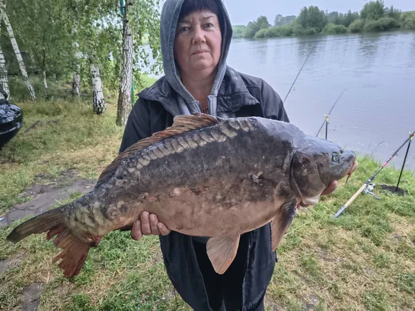 На Рівненщині любителька риболовлі впіймала гігантського коропа на 12,3 кг (фото)