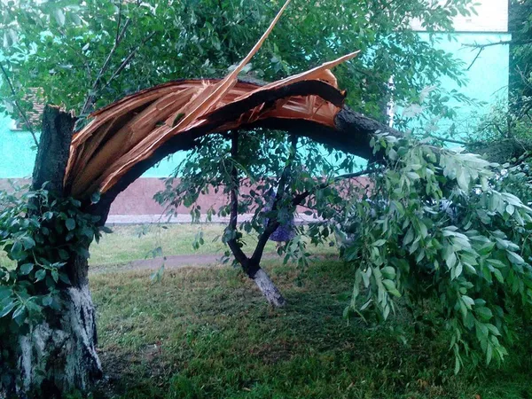 Що наробила негода в Луцьку  (фото, відео)