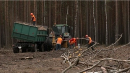 Котельні працюють, дровами забезпечені: у волинській громаді, що межує з Білоруссю, готуються до зими