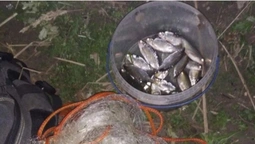 Наловив риби й раків: у Нововолинську виявили браконьєра з сіткою (фото)