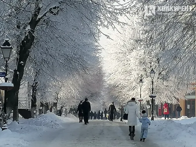 Казково: світлини Луцька, засипаного снігом