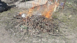 Муніципали карають лучан, які палять гілля і сміття (фото) 