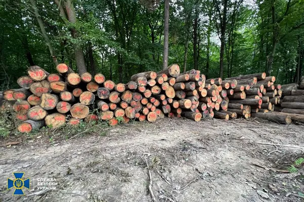 Очільник нацпарку на Волині та підприємець організували рубки цінних порід дерев для експорту в ЄС (фото, відео)
