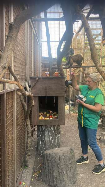 Долучились й відвідувачі: у Луцькому зоопарку годували тваринок морозивом (фото)