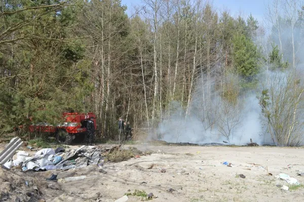 Отруйний дим, спалені поля і ліс: на Волині підпалили два смітники (фото, відео)