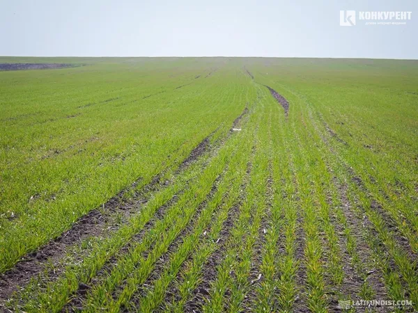 Як проходить посівна кампанія у волинських аграріїв