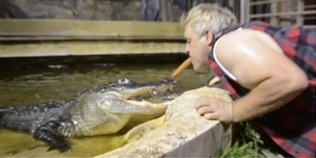 Чоловік годує алігаторів сосисками із зав'язаними очима (відео)