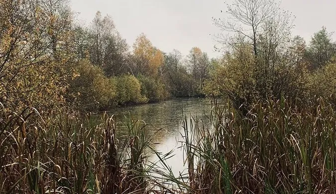 На Волині знайшли місце народження Прип'яті (фото)